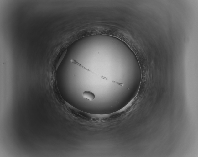 X0000101991109200807251220