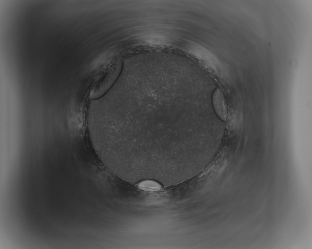 X0000101991110200807251220