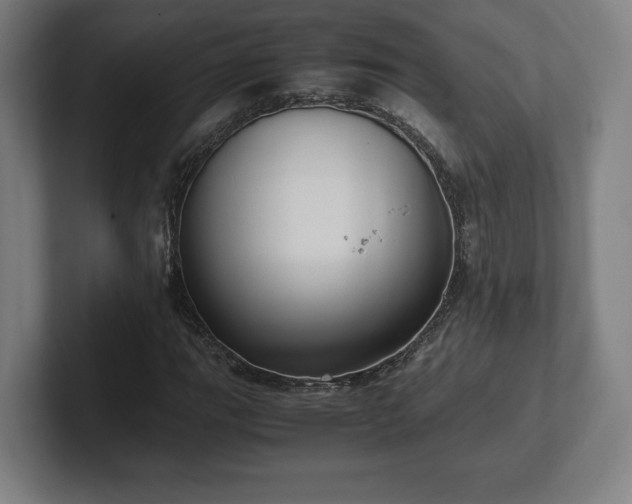 X0000101991111200807251220