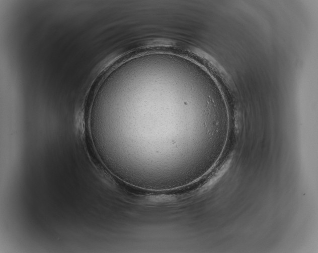 X0000101991113200807251220