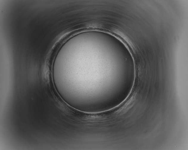 X0000101991115200807251220
