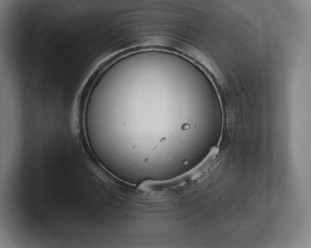 X0000101991116200807251220