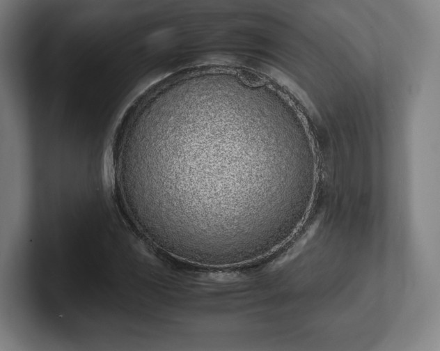 X0000101991117200807251220