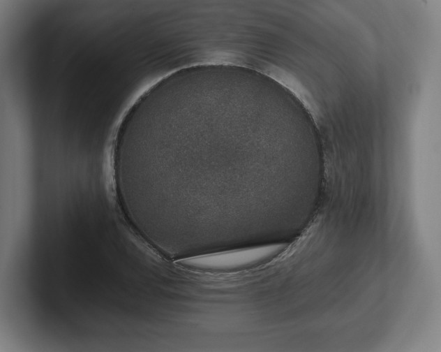 X0000101991120200807251220