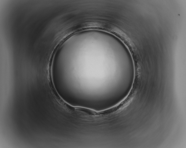 X0000101991121200807251220