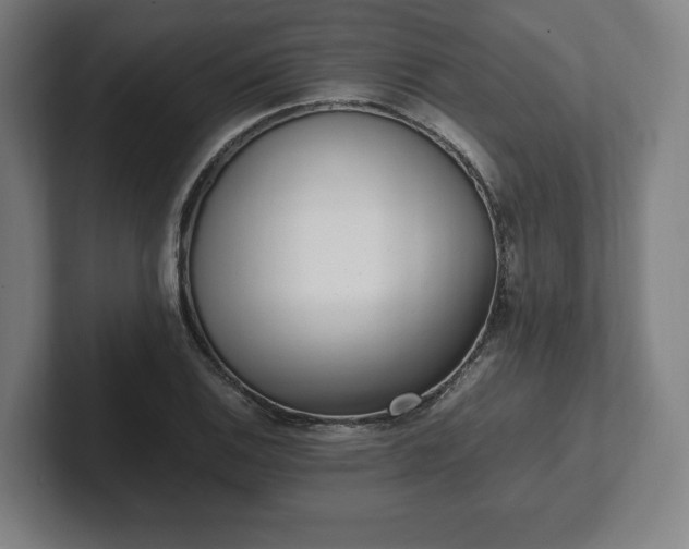 X0000101991124200807251220