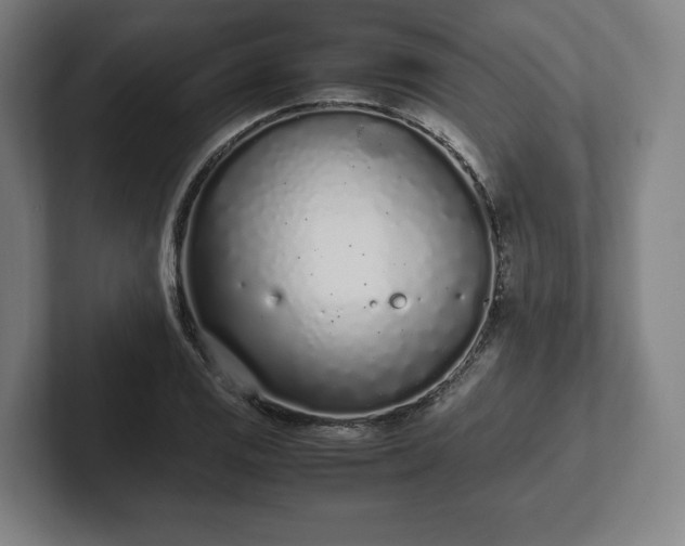 X0000101991125200807251220