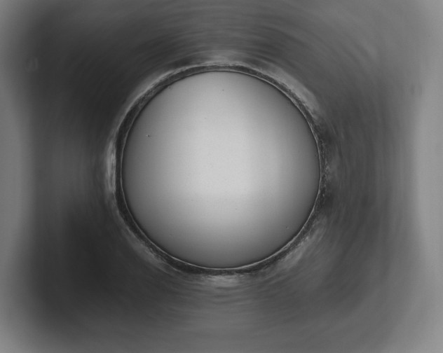 X0000101991126200807251220