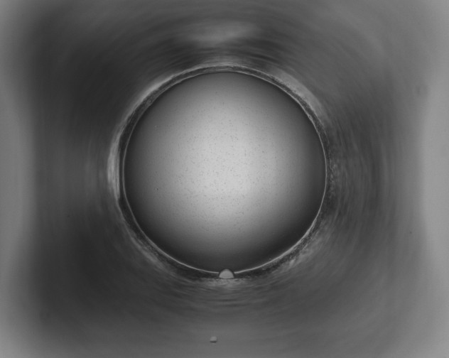 X0000101991127200807251220