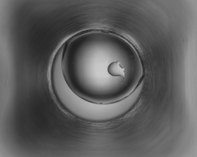 X0000101991128200807251220