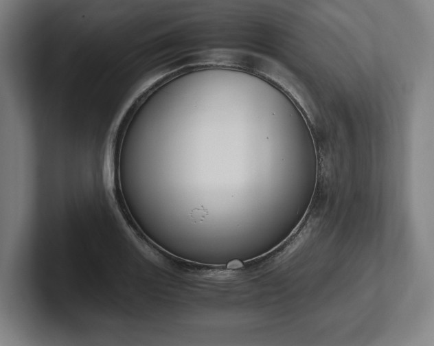 X0000101991131200807251220