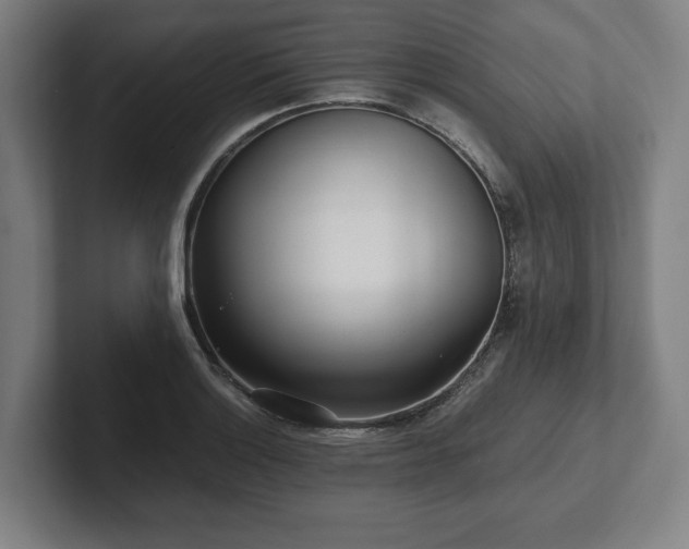 X0000101991132200807251220