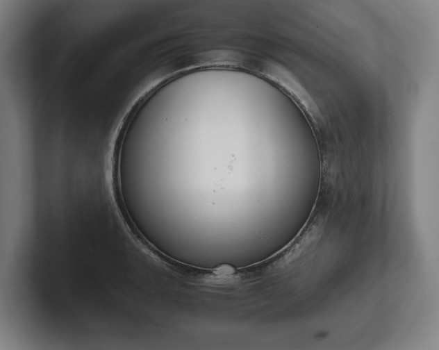 X0000101991135200807251221