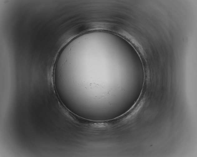 X0000101991137200807251221