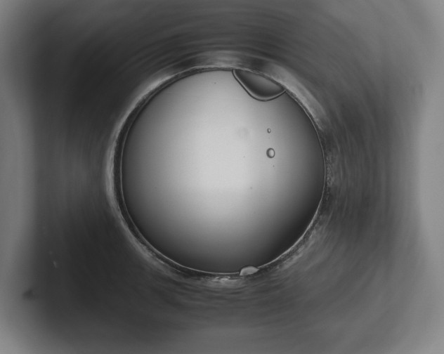 X0000101991139200807251221
