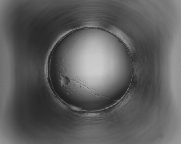 X0000101991140200807251221