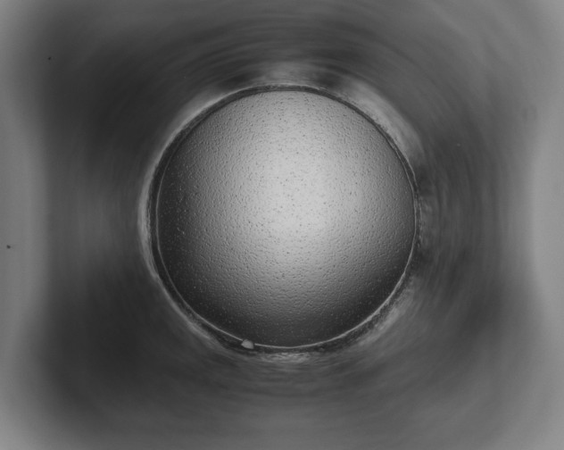 X0000101991141200807251221