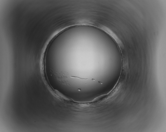 X0000101991144200807251221