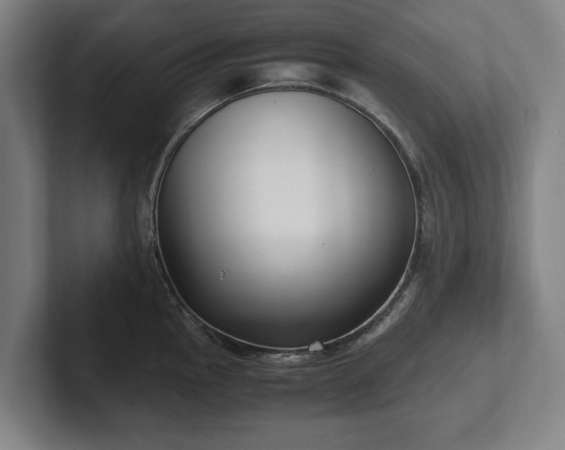 X0000101991145200807251221