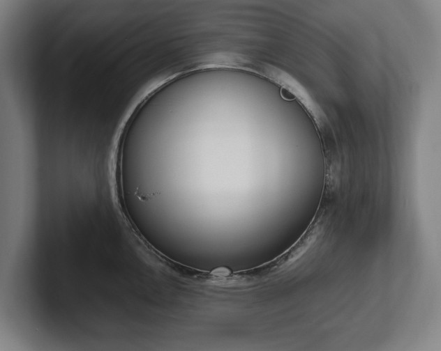 X0000101991146200807251221