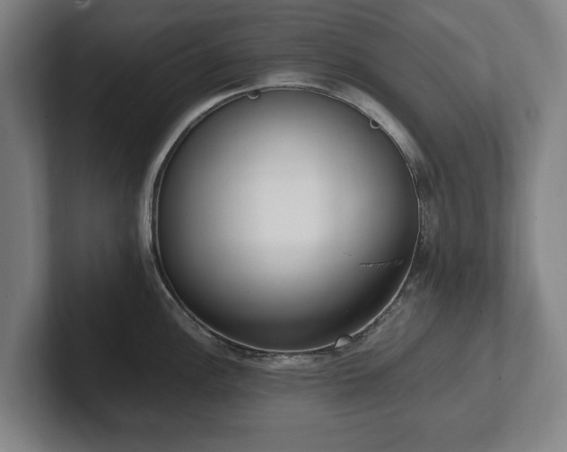 X0000101991148200807251221