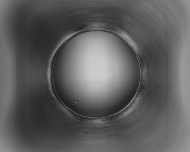X0000101991149200807251221