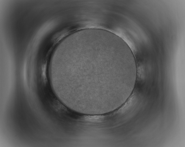 X0000101991150200807251221