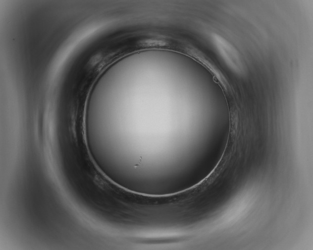 X0000101991151200807251221