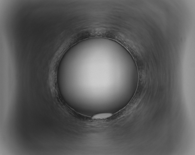 X0000101991153200807251220