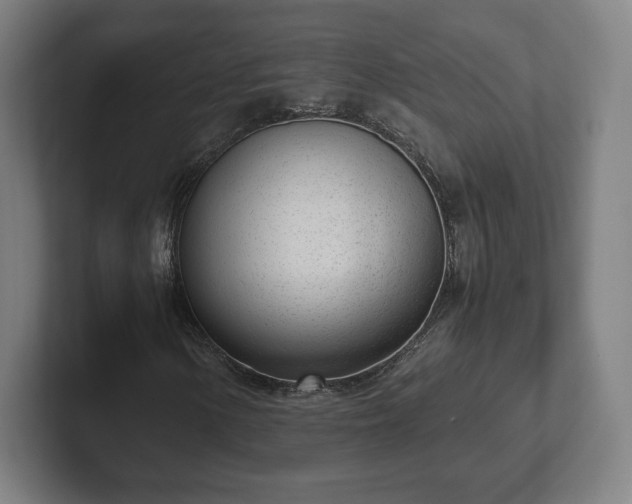 X0000101991154200807251220
