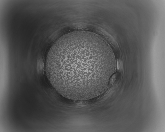 X0000101991155200807251220