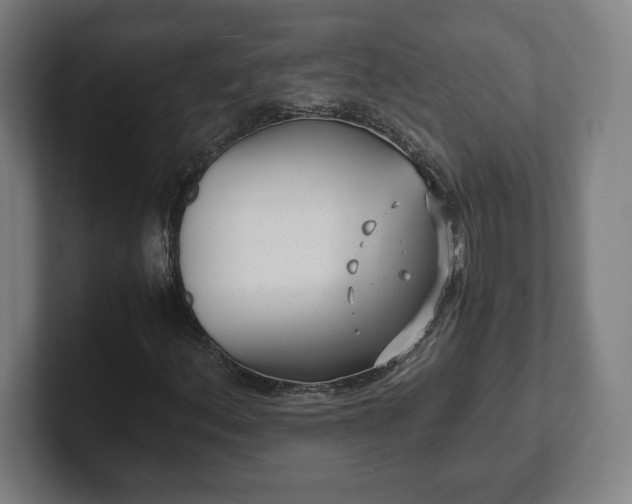 X0000101991156200807251220