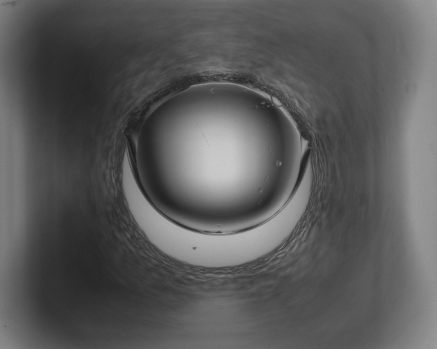 X0000101991157200807251220
