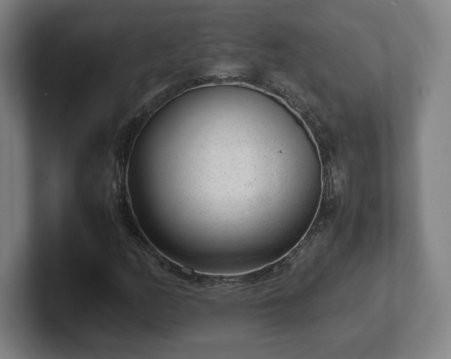 X0000101991158200807251220