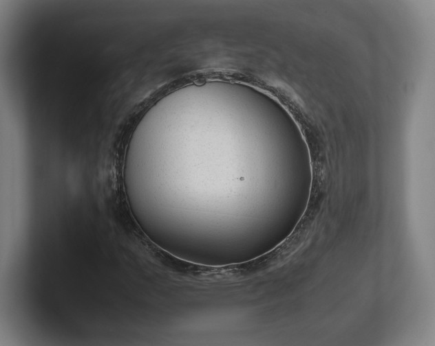 X0000101991159200807251220