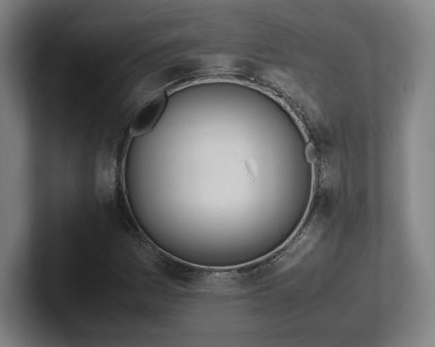 X0000101991161200807251220
