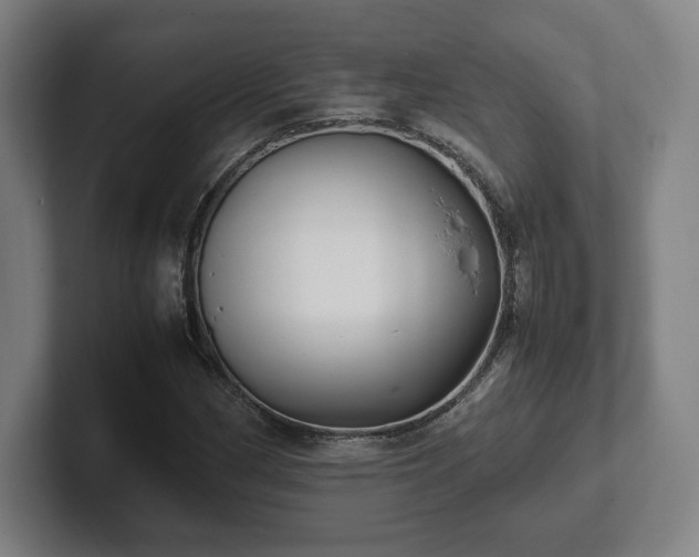 X0000101991162200807251220