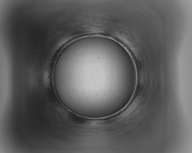 X0000101991163200807251220