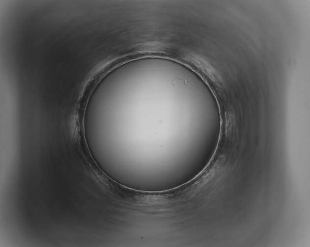 X0000101991164200807251220