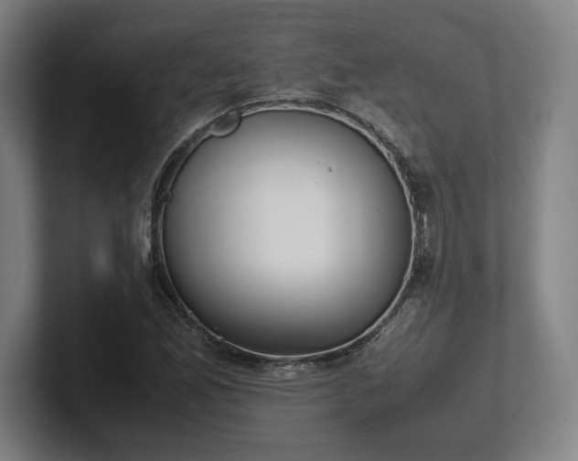 X0000101991165200807251220