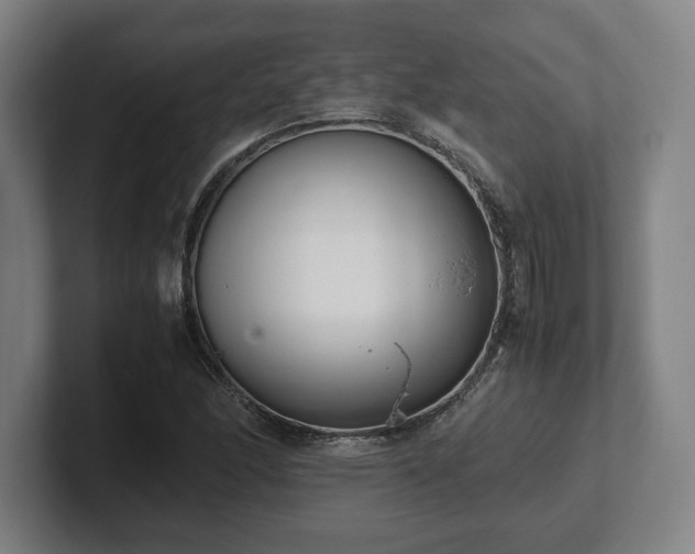 X0000101991166200807251220