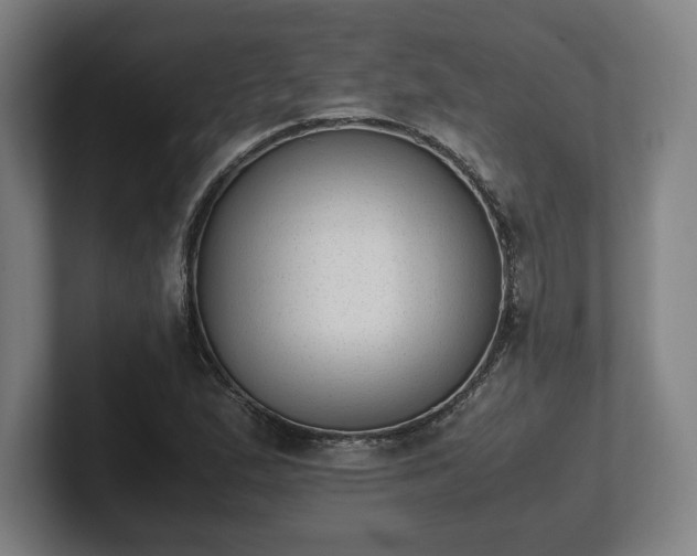 X0000101991167200807251220