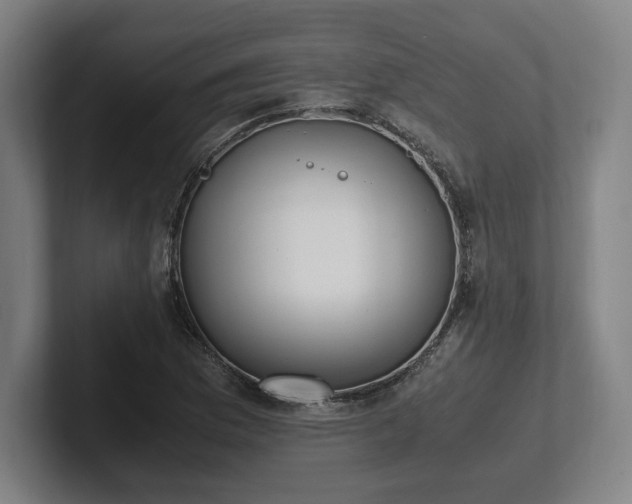 X0000101991169200807251220