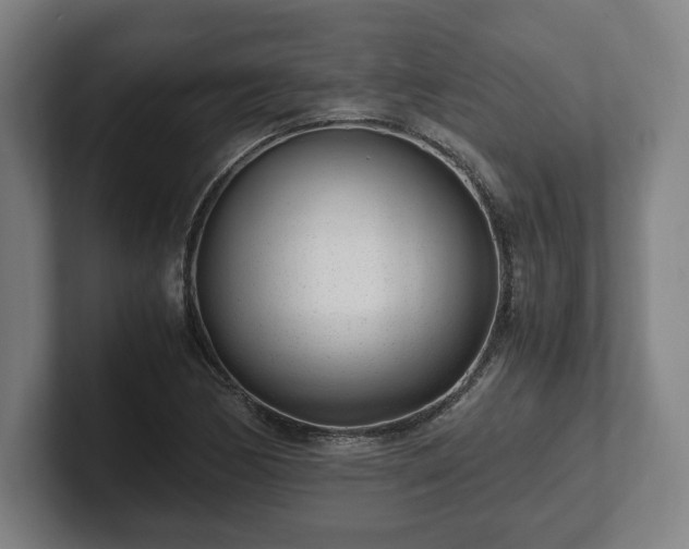 X0000101991170200807251220