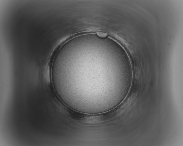 X0000101991171200807251220