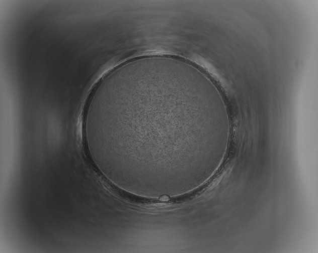 X0000101991173200807251220