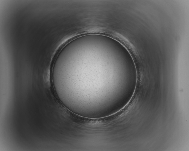 X0000101991174200807251220