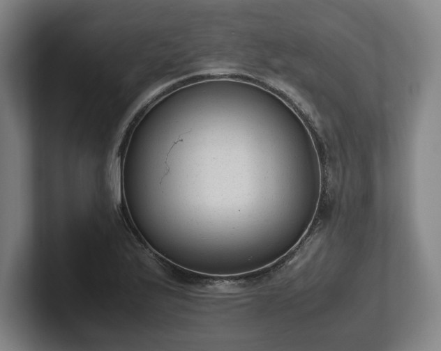 X0000101991175200807251220