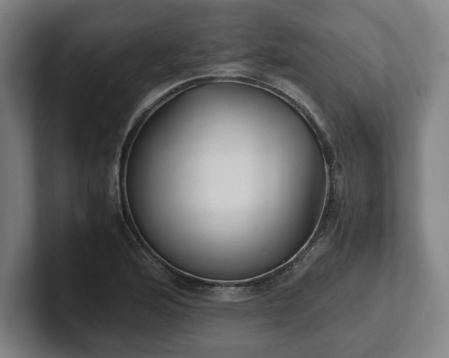 X0000101991176200807251220