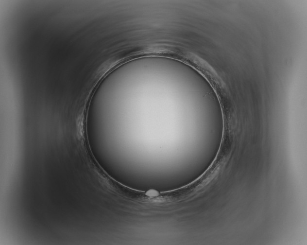 X0000101991177200807251220